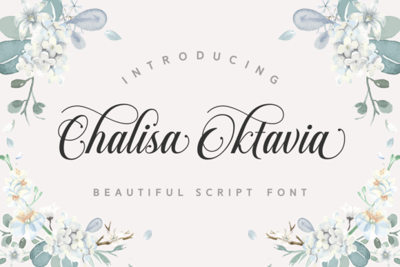 Chalisa Oktavia: The Script Font That Elevates Web Design