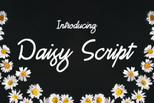 Daisy Script: A Free Feminine Font for Campaign Designers