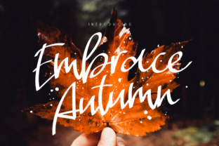 Embrace Autumn: A Designer's Honest Review
