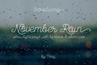 November Rain Typeface: A Versatile Script for Designers